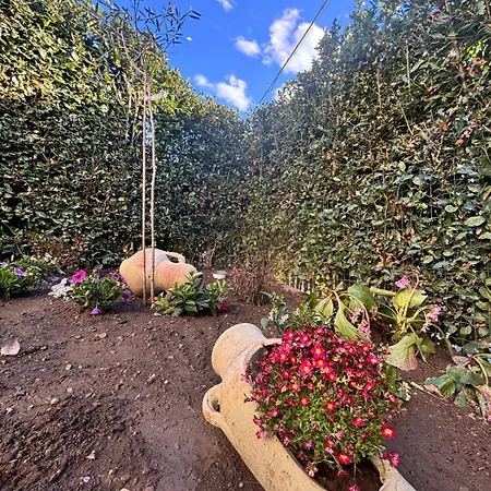 Di Italia Tremezzina-ossuccio Casa Ulivo Appartamento *